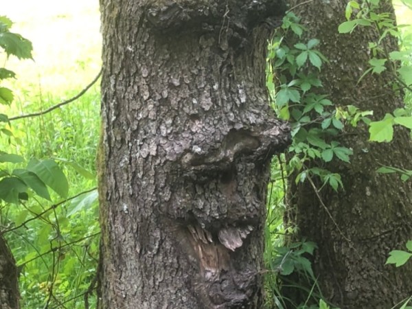 You’ve Got to Ac-cent-tchu-ate the&nbsp;Positive