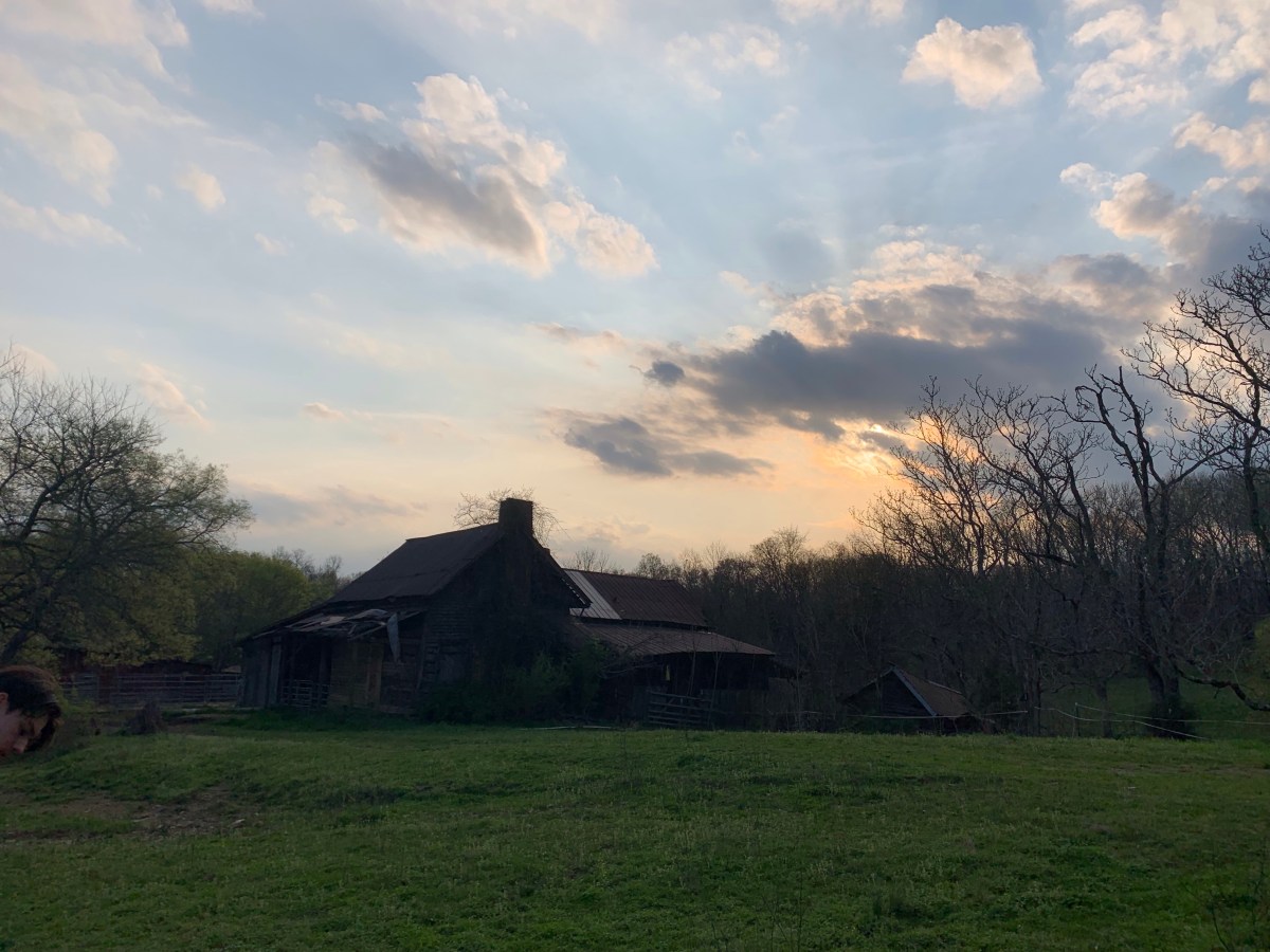 Let’s go for a&nbsp;walk